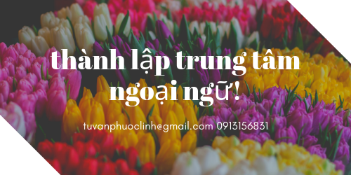 giay phep thanh lap trung tam ngoai ngu